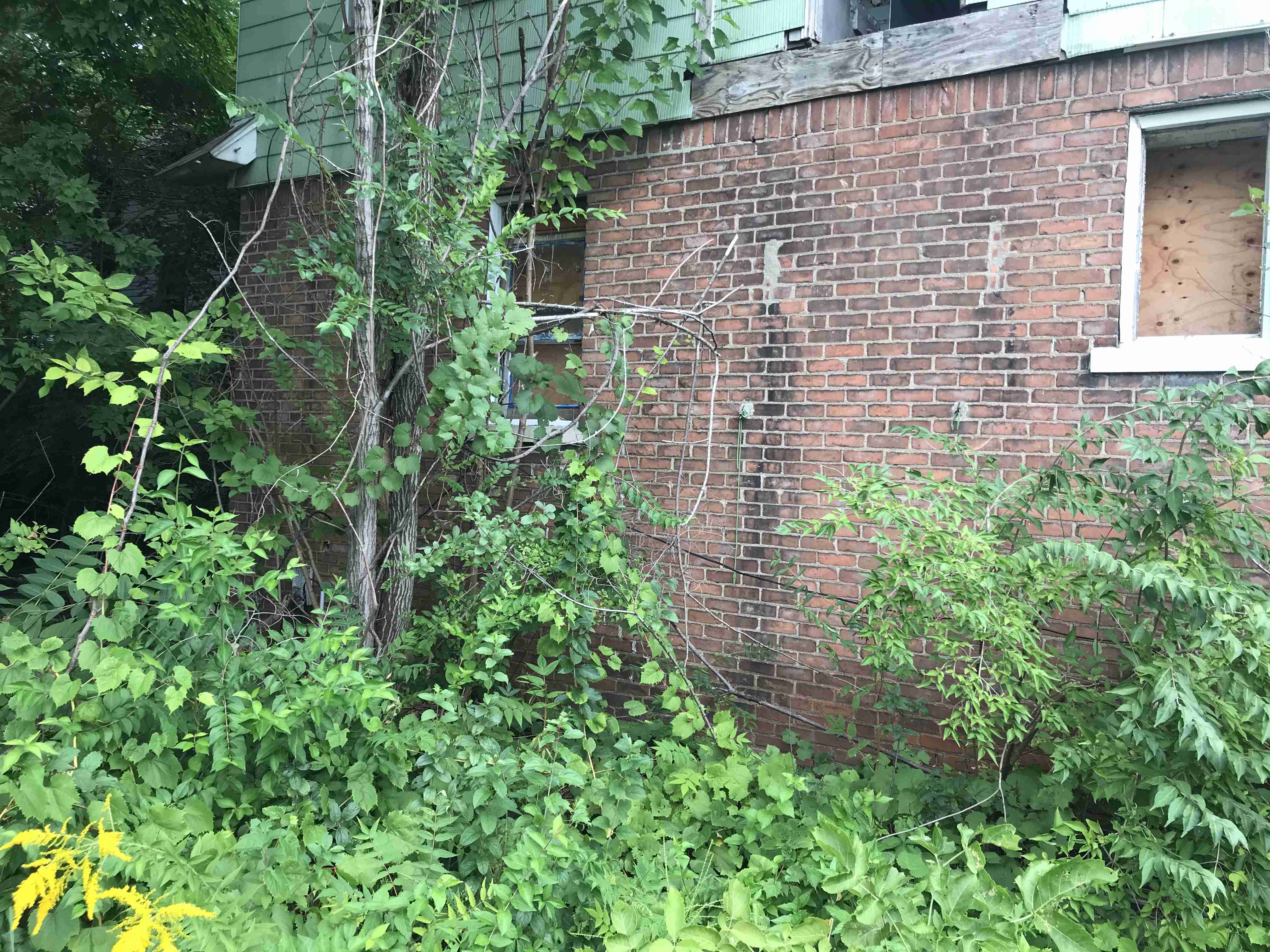 Photo Sep 09, 4 21 15 PM.jpg